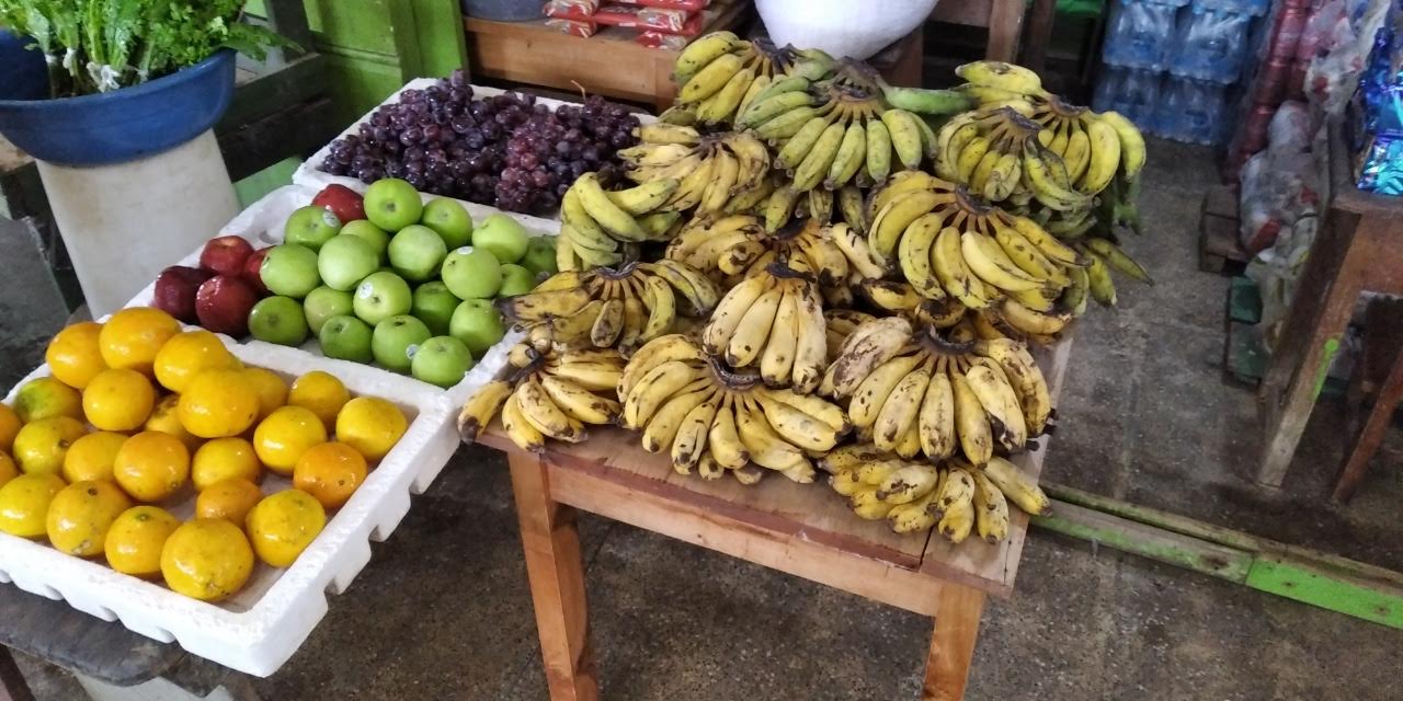 Governo do Amazonas apoia pesquisa sobre as potencialidades da fruticultura no Alto Solimões