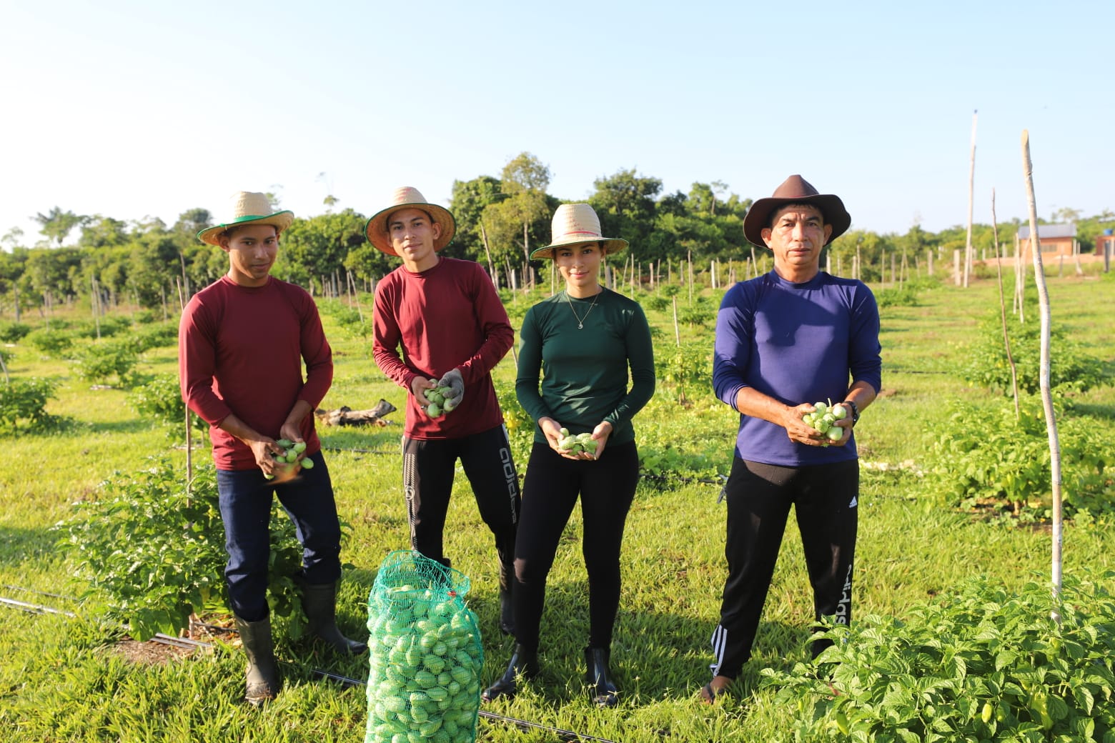 PORTAL DO AMAZONAS - Dia do Agricultor: Governo do Estado investe na agricultura  familiar pelo Programa Agro Amazonas