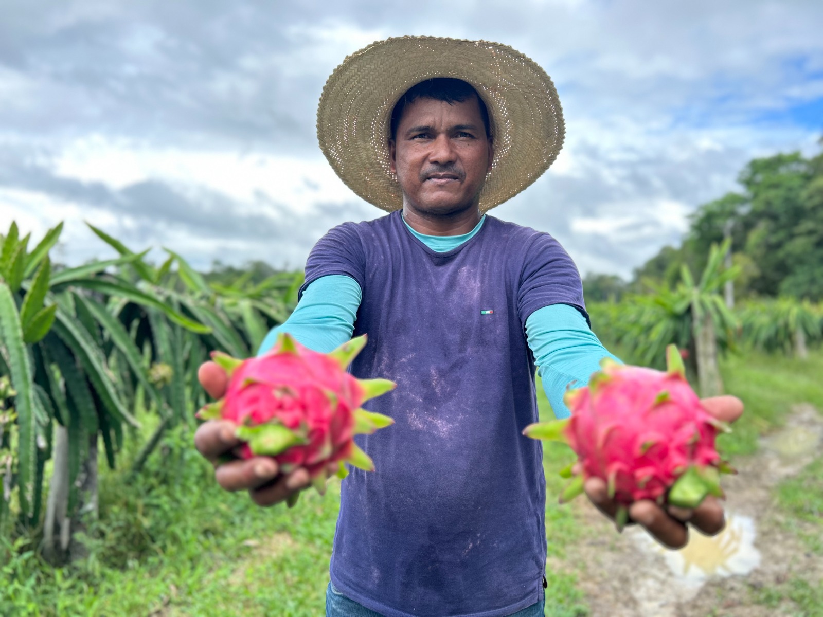 Com Manaus + Agro, prefeitura beneficia mais de 800 agricultores no ‘Dia de Campo’