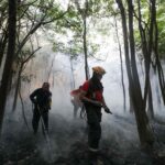 Governo do Amazonas contrata brigadistas para reforçar combate às queimadas