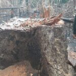 Operação Tamoiotatá 4, aplica R$ 14 milhões em multas por prática de crimes ambientais no sul do Amazonas