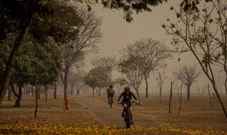 Emprego: veja 283 vagas do Sine Manaus para esta sexta-feira (1º/3