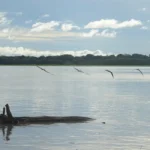 Seca: governo paga auxílio para pescadores da Região Norte