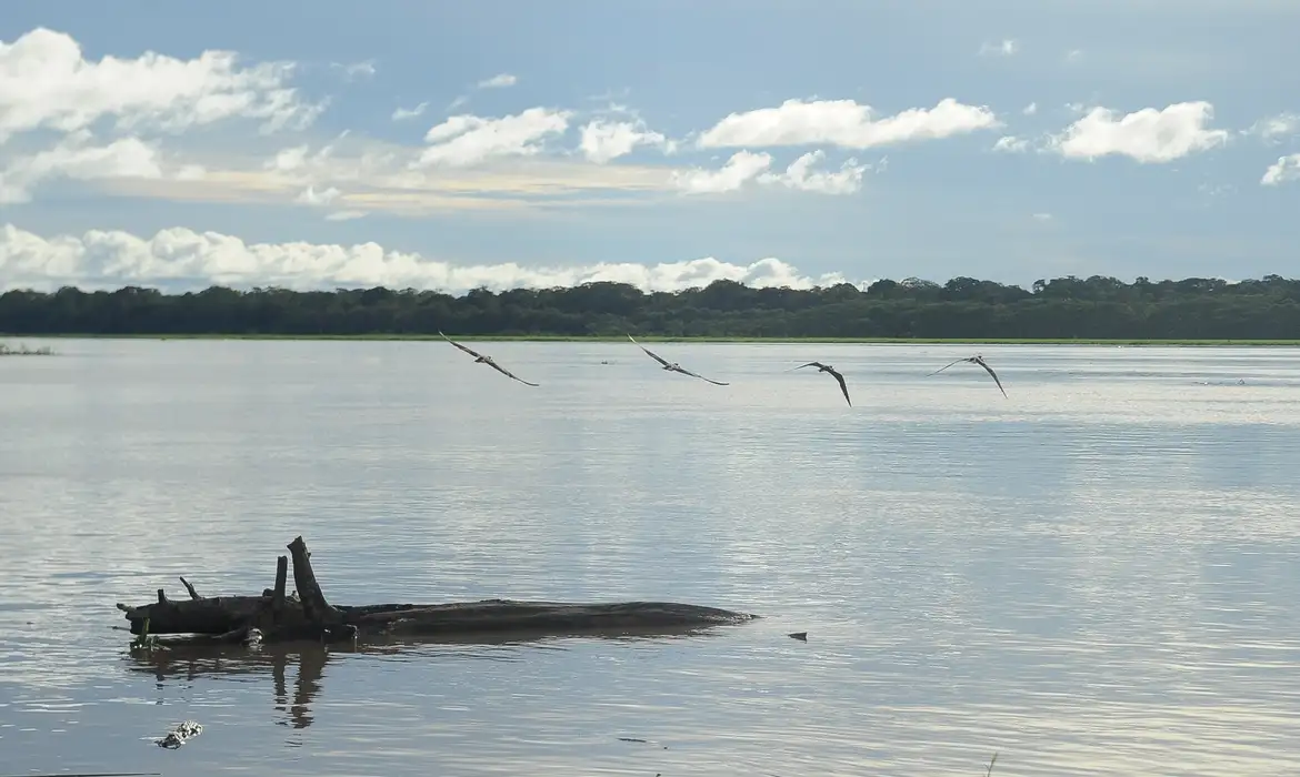 Seca: governo paga auxílio para pescadores da Região Norte