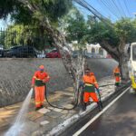 Prefeitura de Manaus intensifica limpeza urbana no centro da cidade neste domingo