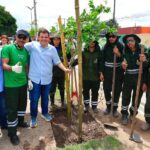 Prefeitura anuncia plantio de 15 mil mudas em 2025 como parte do Plano de Arborização de Manaus