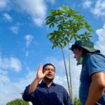 Prefeitura de Manaus realiza ação de arborização na avenida Constantino Nery