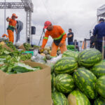 Prefeito David Almeida realiza entrega do Programa de Aquisição de Alimentos e fortalece a agricultura familiar