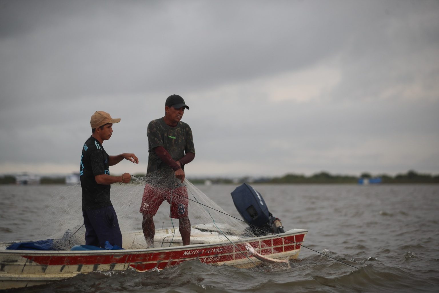 Idam alerta para o fim do período de defeso de oito espécies de peixes no Amazonas