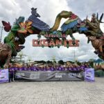 Prefeitura de Manaus realiza ação de conscientização sobre os direitos da pessoa idosa no parque Gigantes da Floresta