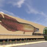 Manaus terá aquário municipal com peixes amazônicos e rooftop com vista para o rio Negro