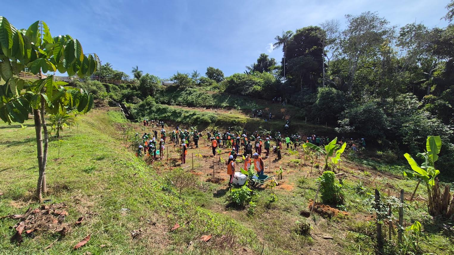Prefeitura de Manaus encerra ‘Junho Verde’ com programação e indicadores históricos