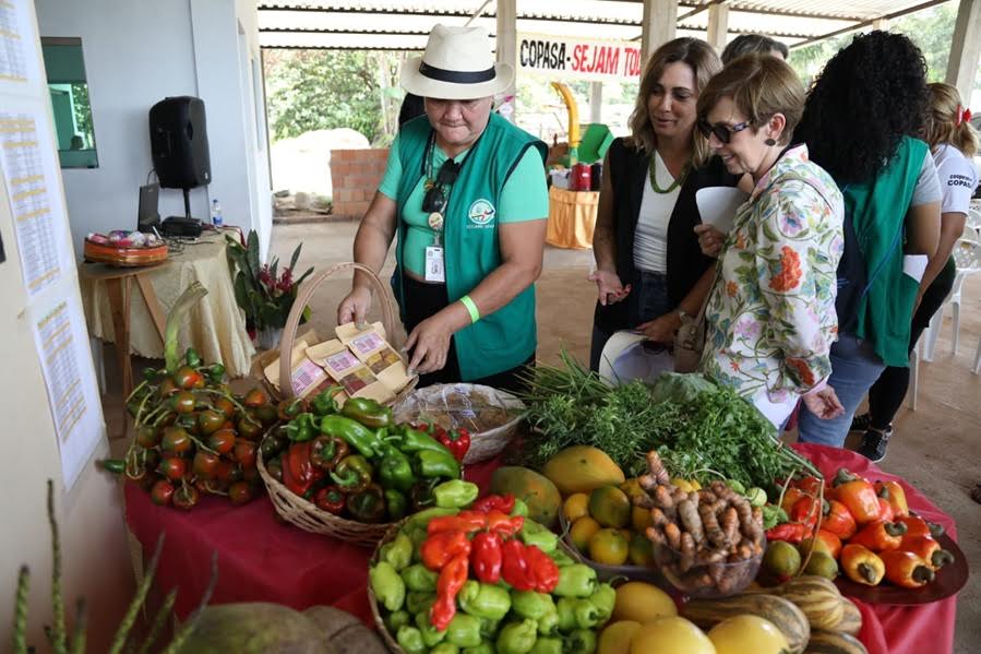 Representantes de 15 países da América Latina e Caribe visitam cooperativa que fornece produtos da merenda para a rede escolar da Prefeitura de Manaus