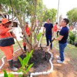 Prefeito David Almeida e vice Renato Junior realizam plantio de oliveiras na fase final do restauro da praça dos Remédios e destacam cuidado histórico e social no Centro
