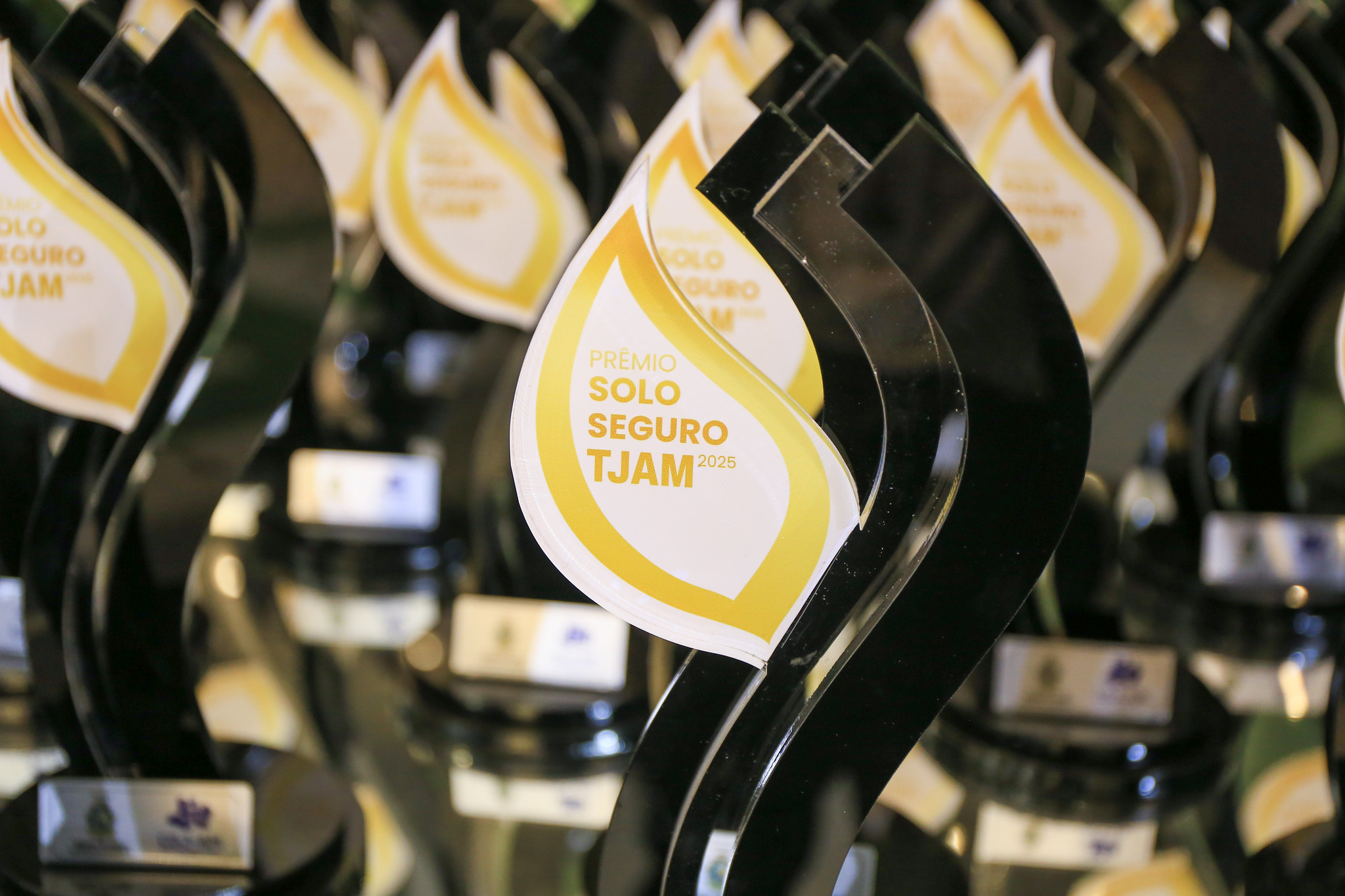 Prefeitura de Manaus é reconhecida pelo TJ-AM por avanços na regularização fundiária