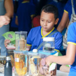 Expocreati 2025 da prefeitura segue com segundo dia de atividades e promove final de feira de ciências