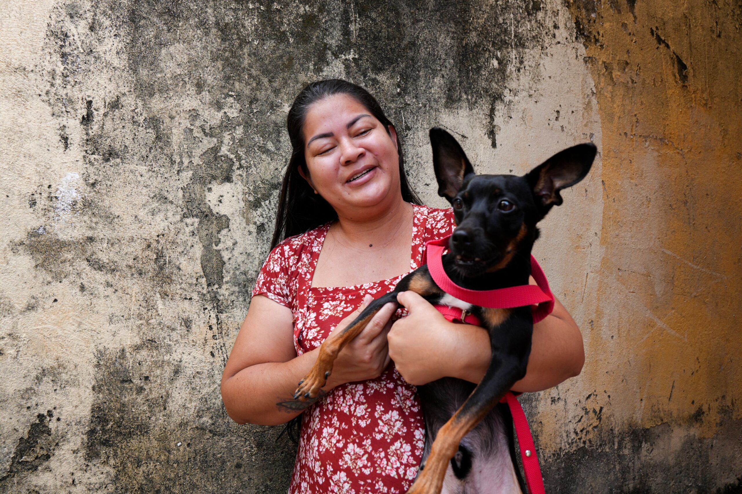 Prefeitura prossegue com vacinação de cães e gatos contra raiva em domicílio e em 46 pontos fixos