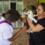 Campanha da Prefeitura de Manaus já imunizou mais de 193 mil cães e gatos contra raiva