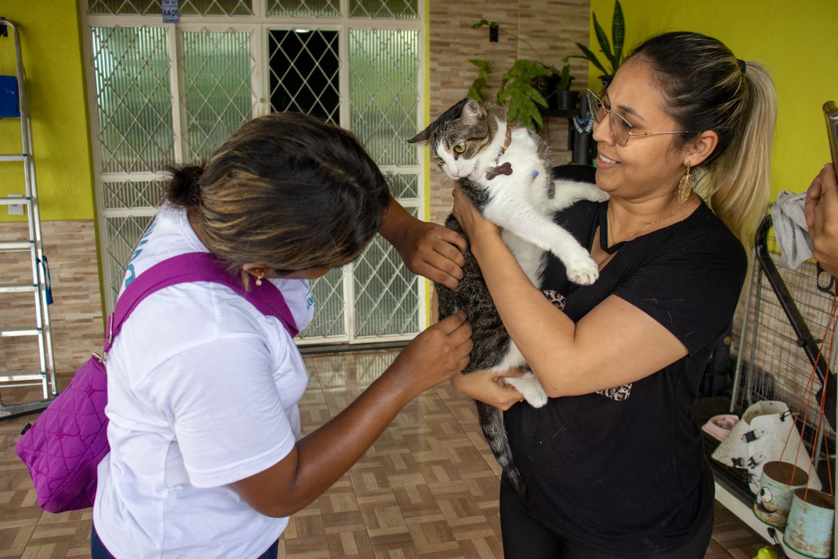 Campanha da Prefeitura de Manaus já imunizou mais de 193 mil cães e gatos contra raiva