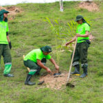 Prefeitura de Manaus alcança marca de 6 mil mudas plantadas em apenas um mês e comemora com plantio no Tarumã