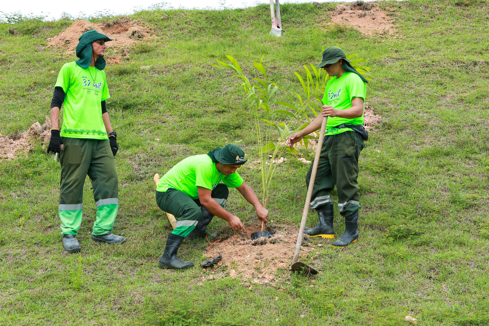 Prefeitura de Manaus alcança marca de 6 mil mudas plantadas em apenas um mês e comemora com plantio no Tarumã