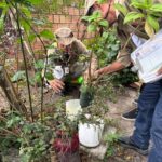 Prefeitura de Manaus utilizará nova estratégia para monitoramento e controle do Aedes aegypti em 2026