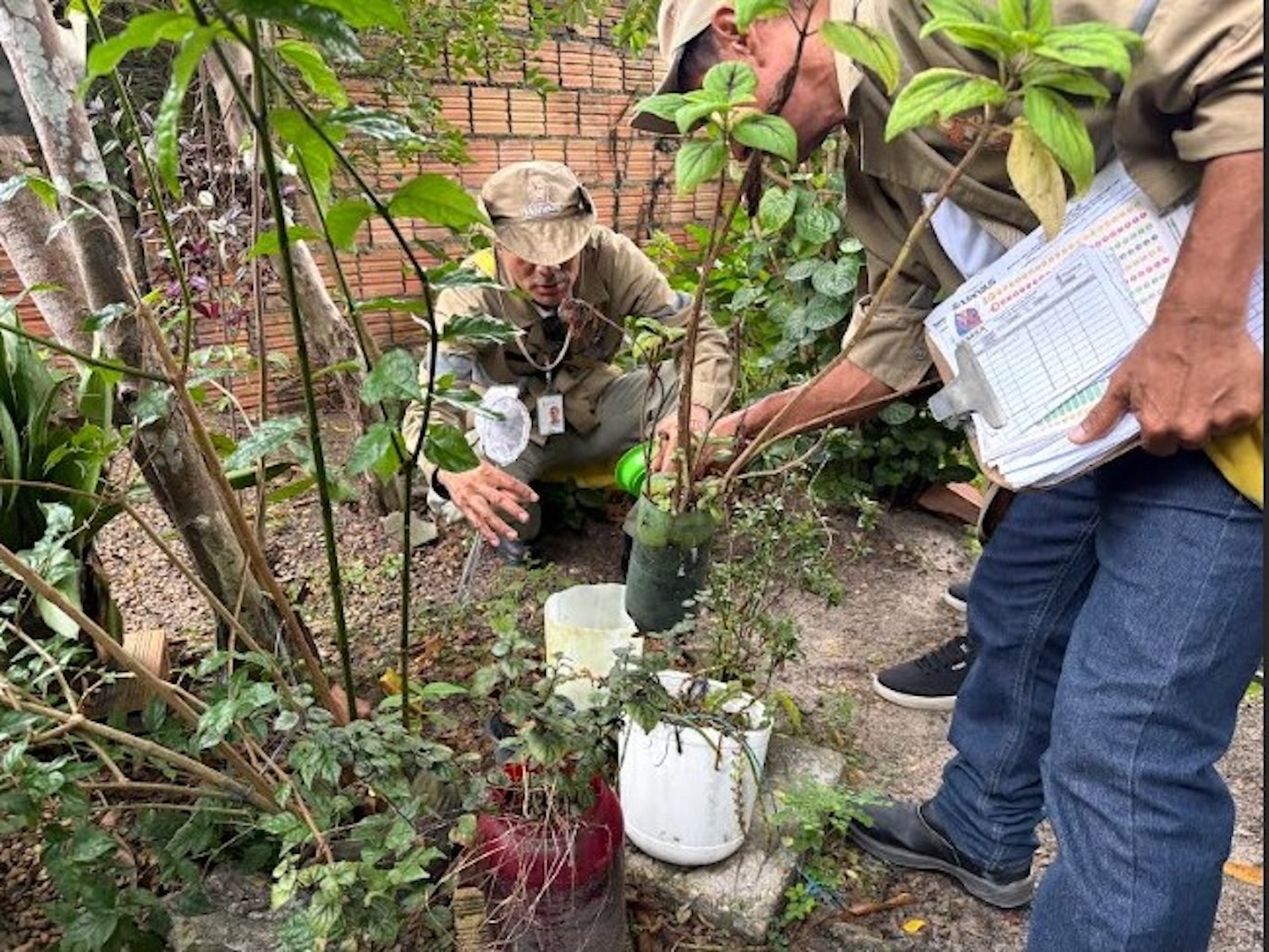 Prefeitura de Manaus utilizará nova estratégia para monitoramento e controle do Aedes aegypti em 2026