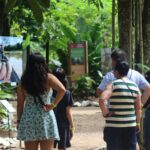 Bosque da Ciência completa 31 anos com programação especial em Manaus