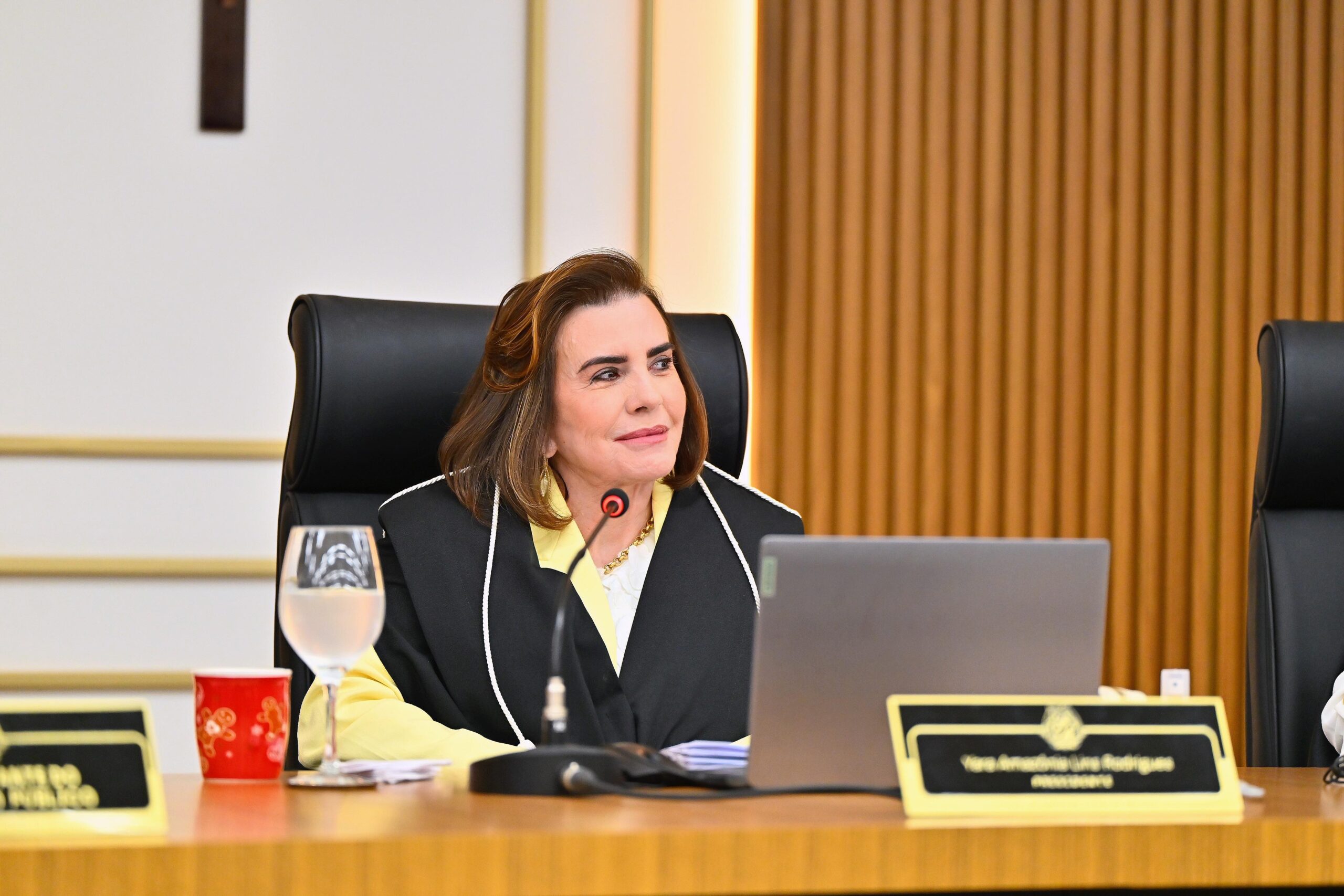 Presidente do TCE-AM intensifica plano de ação para acelerar análise de processos antigos