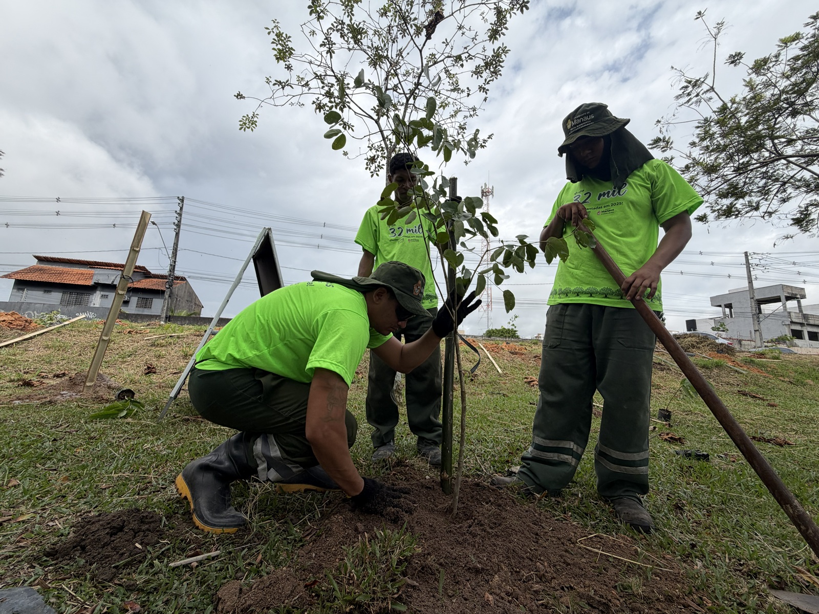 Prefeitura de Manaus realiza plantio de 13.400 mudas como parte da estratégia de arborização da capital amazonense