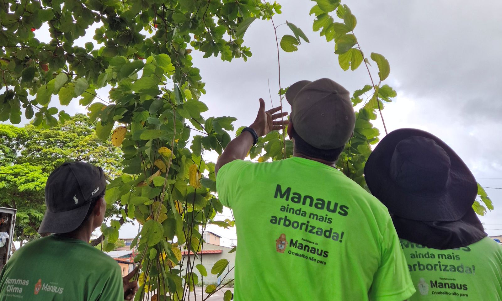 Prefeitura de Manaus realiza manutenção da arborização no CSU do Parque 10 e inicia plantio de 2 mil mudas no local