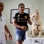 Serviço de castração da Prefeitura de Manaus abre vagas para agendamento na quarta-feira, 15/7