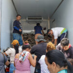 Prefeitura de Manaus distribui 57 mil peixes do programa ‘Jaraqui da Gente’ no Distrito Industrial 2 e Nova Vitória e beneficia aproximadamente 3 mil famílias