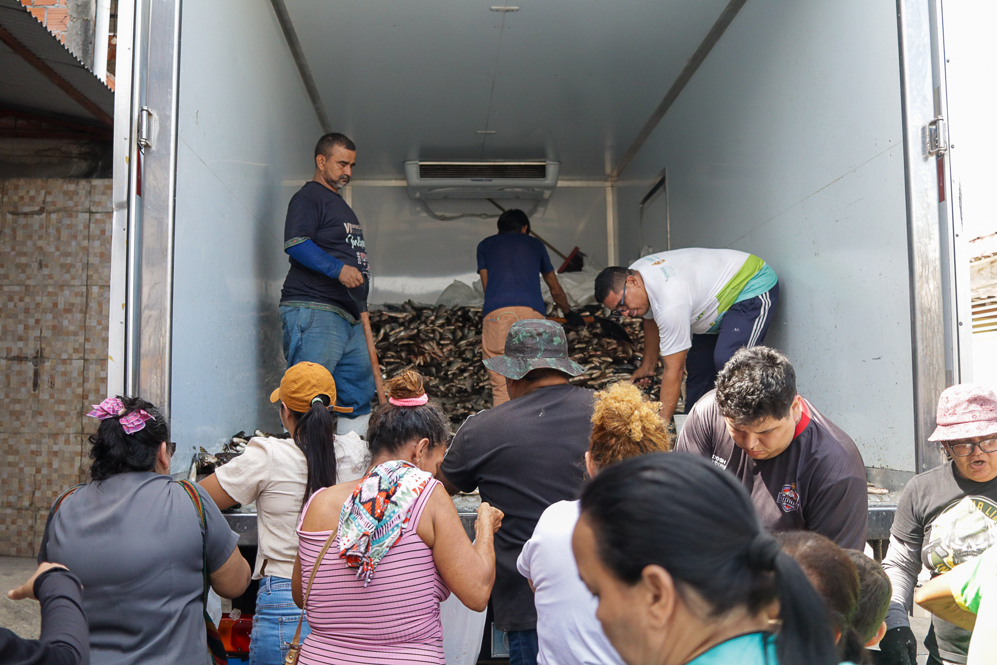 Prefeitura de Manaus distribui 57 mil peixes do programa ‘Jaraqui da Gente’ no Distrito Industrial 2 e Nova Vitória e beneficia aproximadamente 3 mil famílias