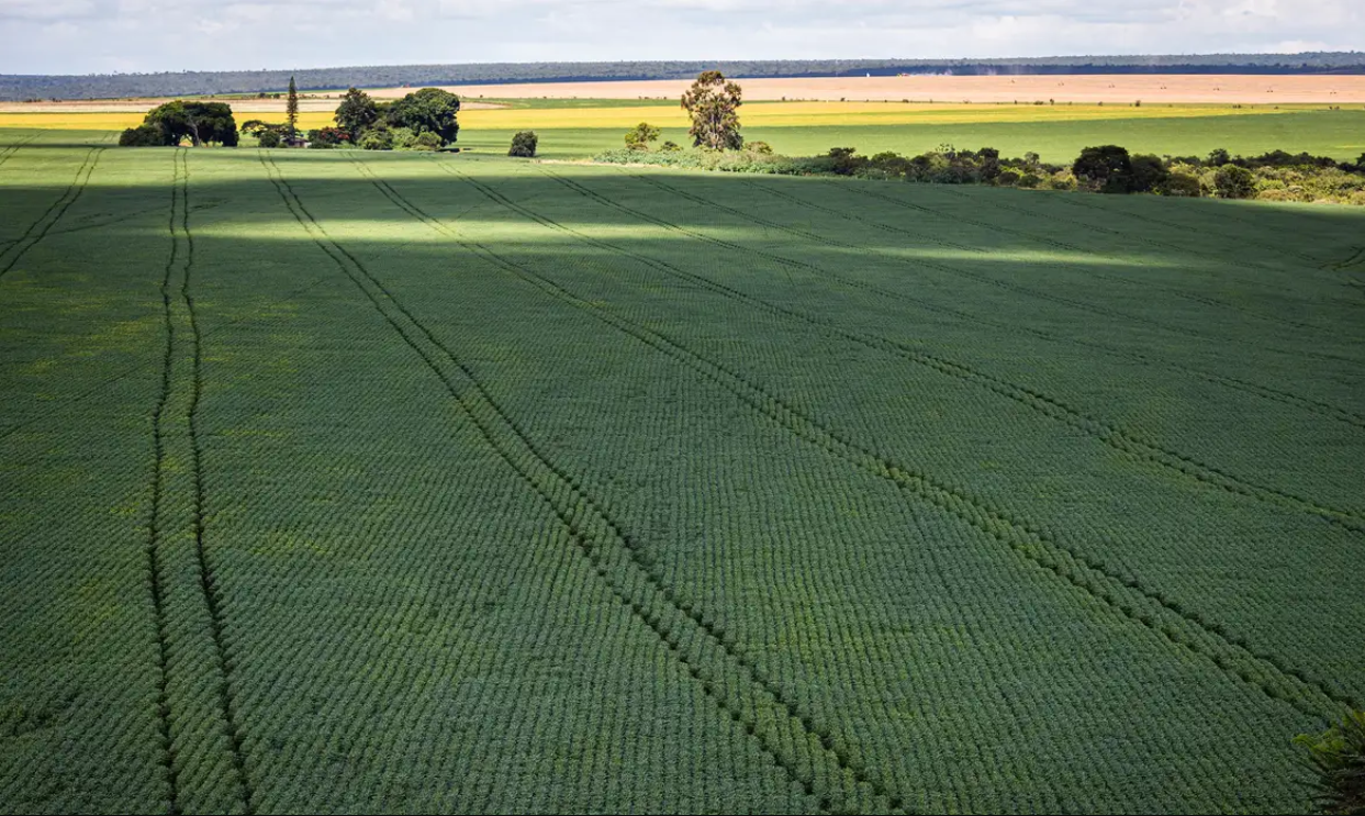 Senado aprova plano para fabricação de fertilizantes no Brasil