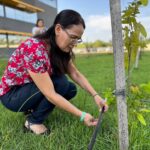 Servidores reforçam cuidado com plantas e árvores na nova sede do Implurb, garantindo pertencimento e sustentabilidade