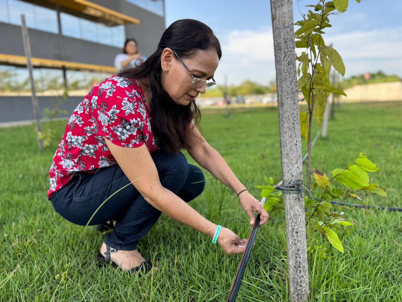 Servidores reforçam cuidado com plantas e árvores na nova sede do Implurb, garantindo pertencimento e sustentabilidade