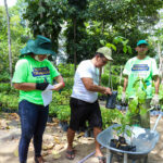 Prefeitura de Manaus celebra Dia da Árvore com recordes de arborização e doação de mudas
