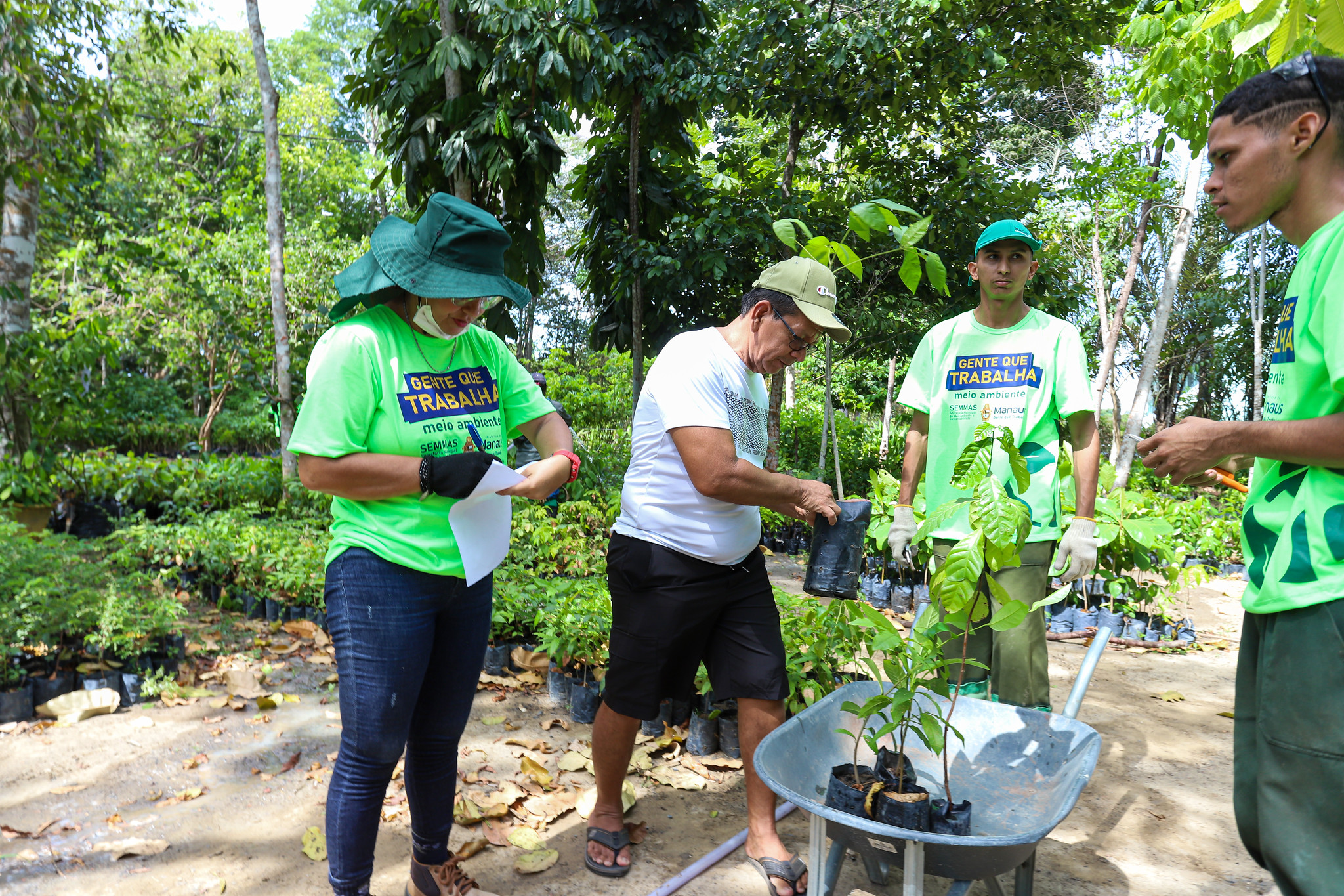 Prefeitura de Manaus celebra Dia da Árvore com recordes de arborização e doação de mudas