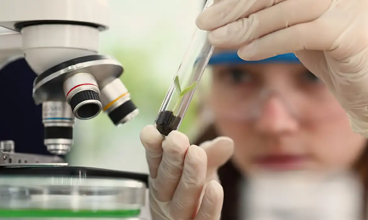 Prêmio para mulheres e meninas cientistas abre inscrições até outubro