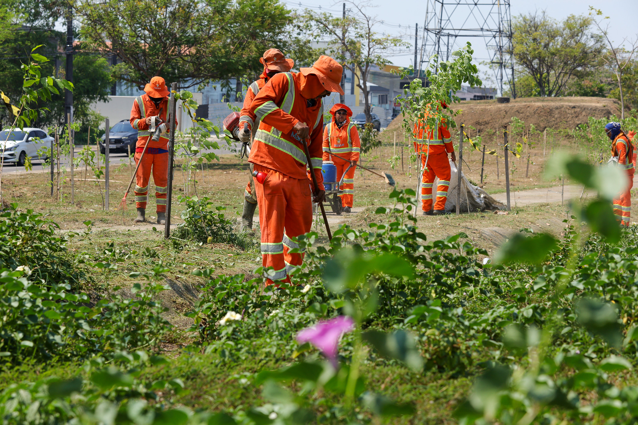 Prefeitura de Manaus reforça limpeza na avenida das Torres com ação que reúne mais de 500 trabalhadores