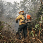 Incêdios no Amazonas resultam de ação humana intencional, diz ministro