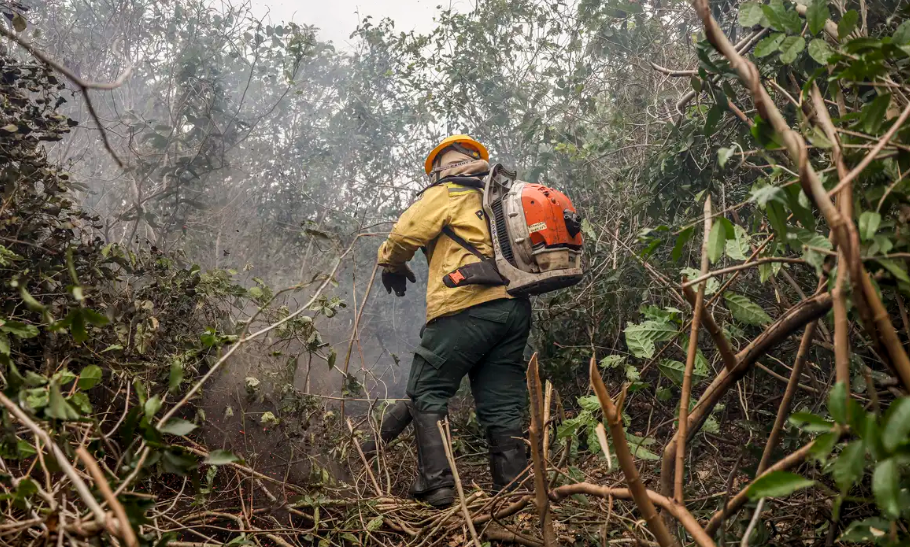 Incêdios no Amazonas resultam de ação humana intencional, diz ministro