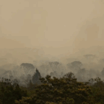 Força Nacional do SUS apoia atendimentos no Amazonas após incêndios