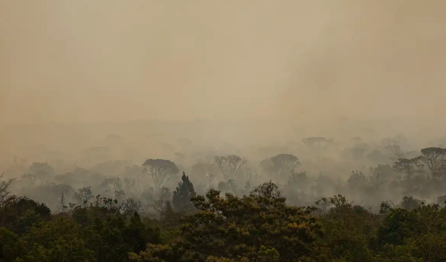 Força Nacional do SUS apoia atendimentos no Amazonas após incêndios