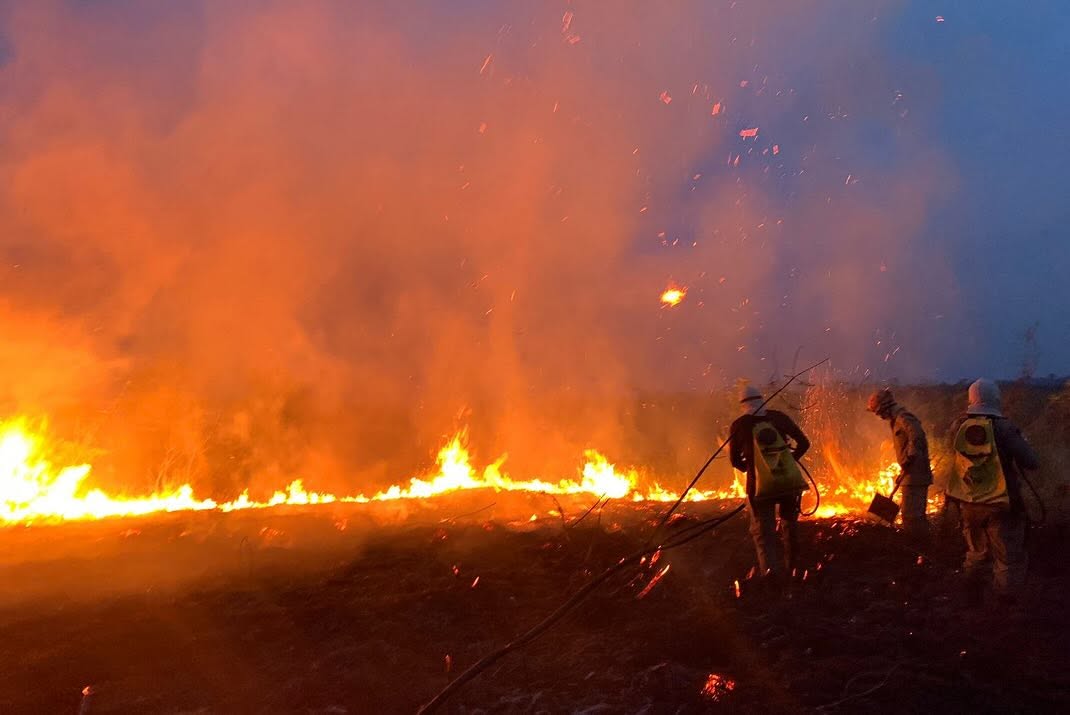 Bombeiros negam recusa de apoio federal e afirmam que Amazonas pediu reforço aéreo contra incêndios
