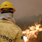 Focos de incêndio no Amazonas diminuem após ação de força-tarefa