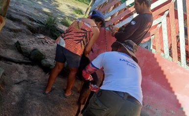 Fotos - Divulgação / Semsa