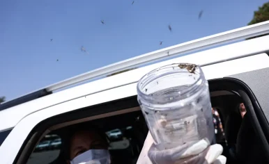 © Marcelo Camargo/Agência Brasil