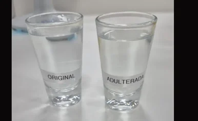 © UFPR/Divulgação